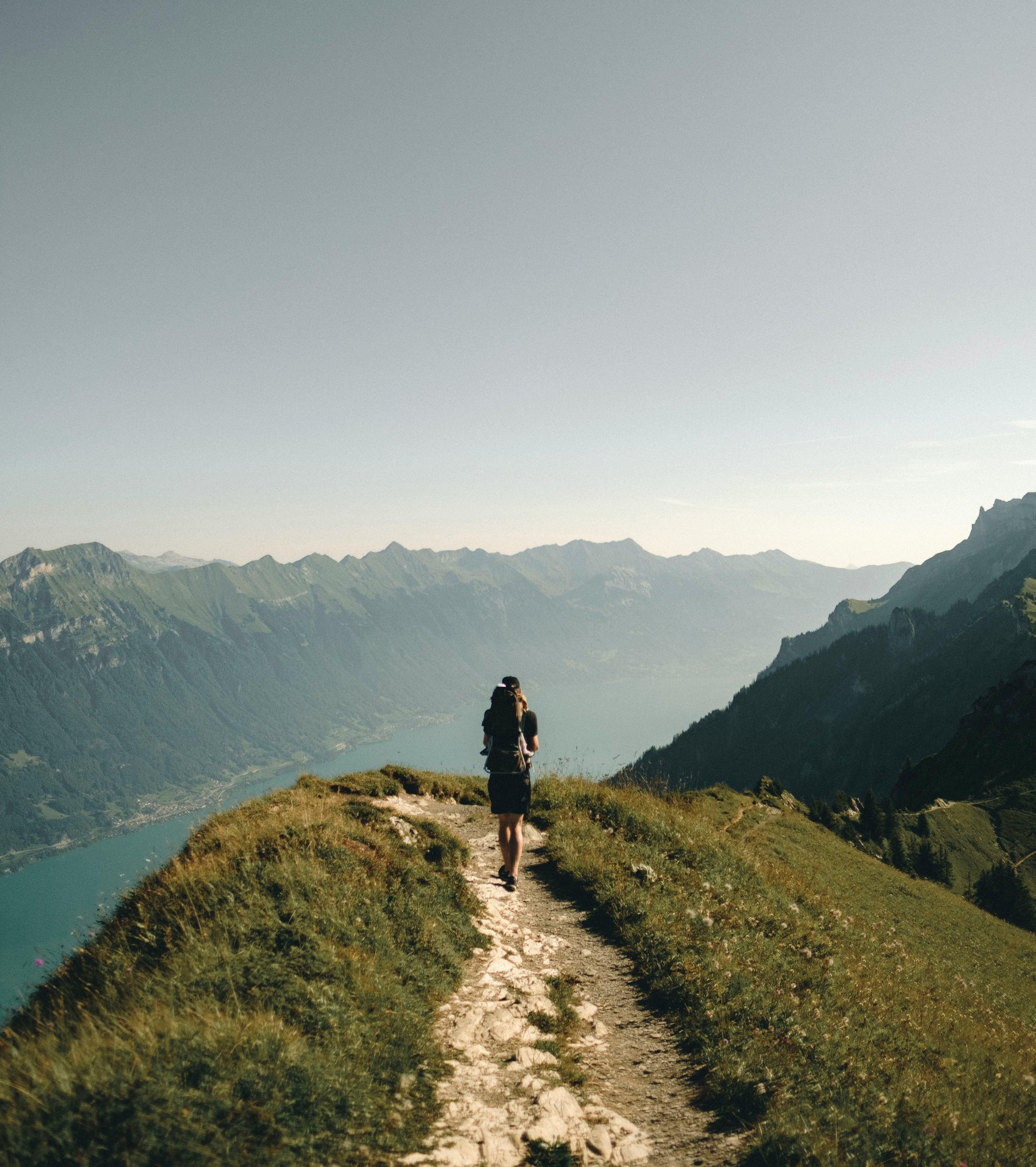 joel-jasmin-forestbird-znoL1m6MD_k-unsplash (1)